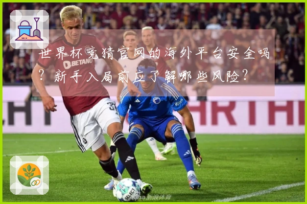世界杯竞猜官网的海外平台安全吗？新手入局前应了解哪些风险？