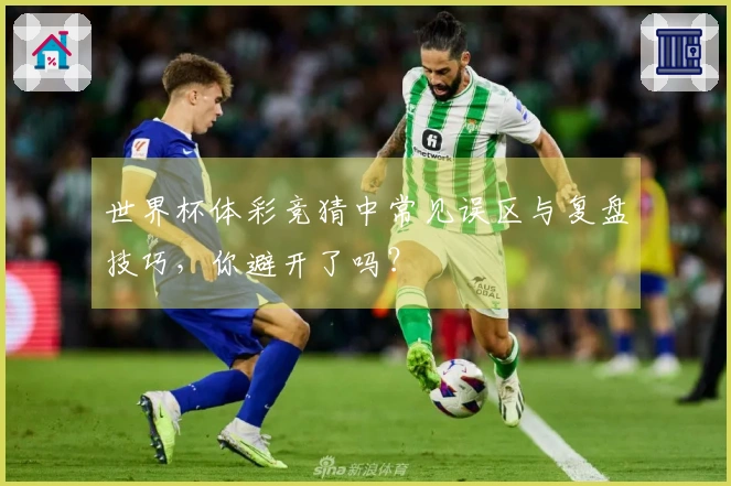 世界杯体彩竞猜中常见误区与复盘技巧，你避开了吗？