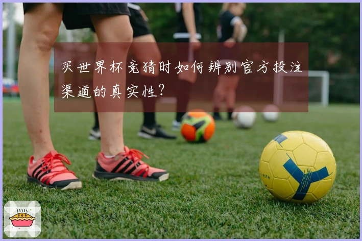 买世界杯竞猜时如何辨别官方投注渠道的真实性？